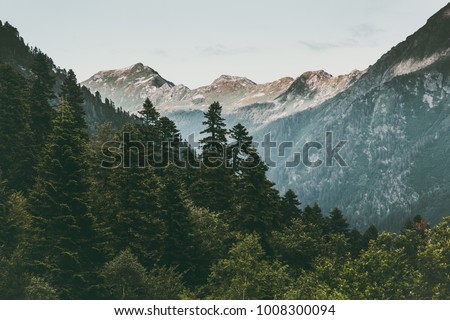Coniferous Forest and Mountains Landscape Travel serene scenery summer green