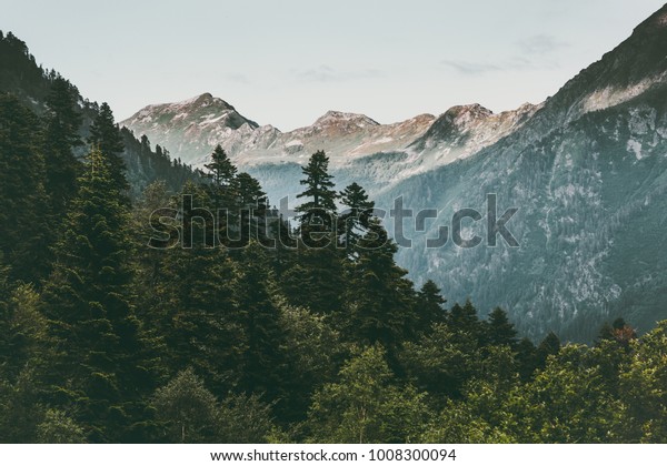 針葉樹の森と山の景色が穏やかな景色を旅する夏の緑 の写真素材 今すぐ編集