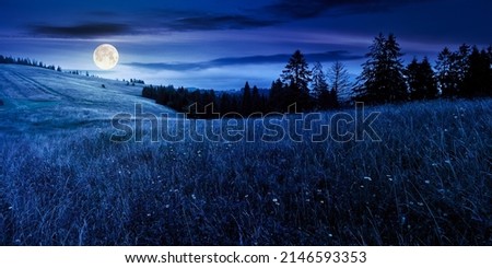 coniferous forest on the grassy hill at night. landscape of carpathian alps with meadows in the dark. natural summer scenery in full moon light light. ecosystem and environment concepts and background