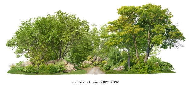 Coniferous forest pathway.
				Cutout trees isolated on white background. Forest scape with trees and bushes among the rocks. Tree line landscape summer.