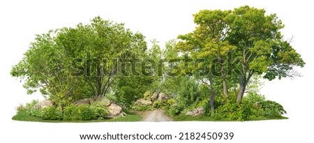 Coniferous forest pathway.
Cutout trees isolated on white background. Forest scape with trees and bushes among the rocks. Tree line landscape summer.
