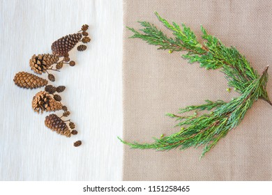 coniferous pattern, on one side laid cones on a white background, on the other side conifers evergreen twigs on a white background, they are directed to each other, frame, space for text inside