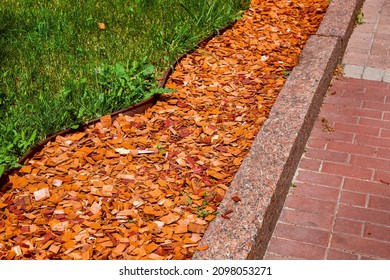 Coniferous Pine Mulch On The Park Lawn. Beautiful Landscape Design With Wooden Chips On Flower Bed Lit By Sun Light Near Green Grass And Granite Curbe With Stone Tile Walkway.