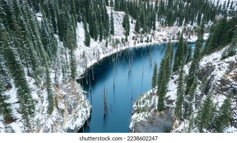Coniferous tree trunks come out of a mountain lake. Smooth water like a mirror reflects the snowy mountains and the forest. High peaks in the clouds. Kaindy Lake is freezing. Bushes grow on the shore