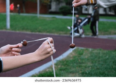 Conkers game. Teenagers are playing conkers. Selective focus. Traditional children game played using seeds of horse chestnut trees. Autumn entertainment.