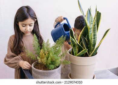 Connecting With Nature.Little Kids Caring Flowers.Active Preschool Children Watering Plants On The Pergola Or Community Gardens.Nature-inspired Environments,wellness, Harmonious,healthy Space Concept.