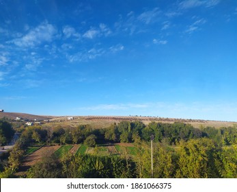connecting the sky with trees - Shutterstock ID 1861066375