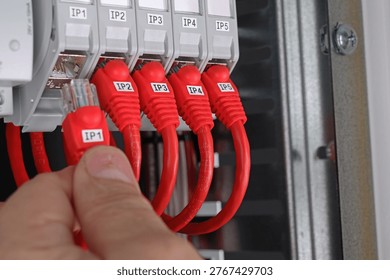Connection of patchcords with Rj45 connector to Internet sockets. 
