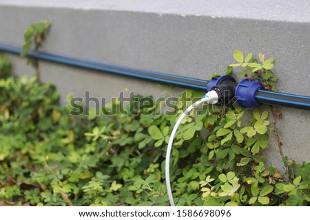 Connection points for automatic watering plants.