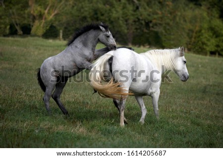 Similar – Image, Stock Photo Moldy Environment Nature