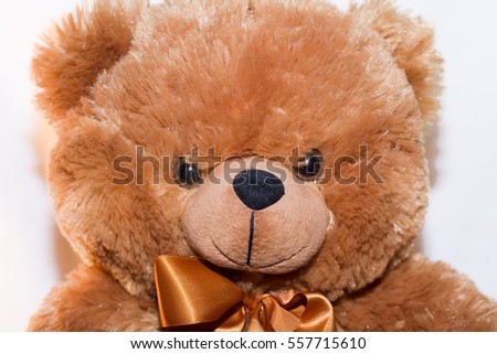 Conniving Teddy Bear