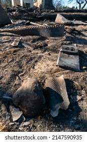 The Consequences Of A Fire In An Old Wooden Country House. Ashes And Burnt Boards Close-up. A Fire In A Residential Wooden House Due To Arson Of Dry Grass.