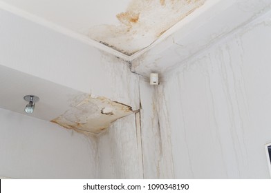 Water Leak Ceiling Images Stock Photos Vectors Shutterstock