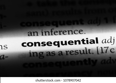 consequential word in a dictionary. consequential concept