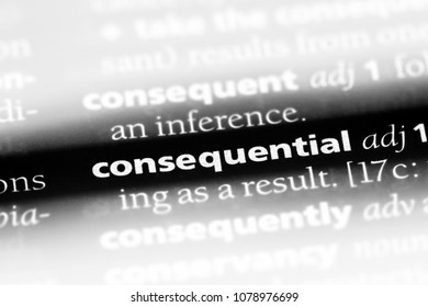 consequential word in a dictionary. consequential concept