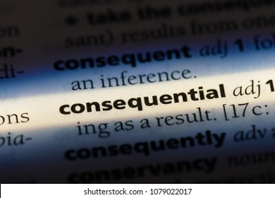 consequential word in a dictionary. consequential concept