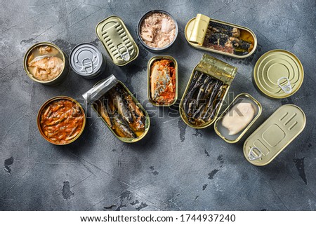Conserves of canned fish with different types of fish and seafood, opened and closed cans with Saury, mackerel, sprats, sardines, pilchard, squid, tuna, over grey stone surface, top view space for