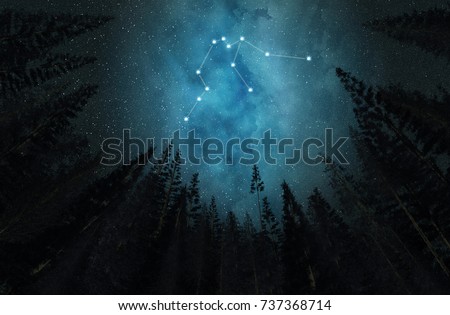 Constellation Aquarius. Night sky. Stars. Night in the forest.
