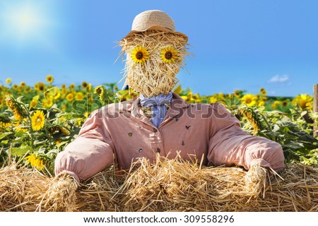 Consternated looking straw man with hat and sunflower eyes sits behind a wall of straw bales and looks to the viewer. The background shows a sunflower field. 