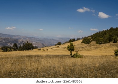 Constrast in the mountains of Boyacá