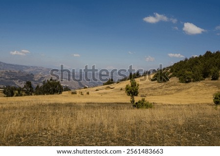 Constrast in the mountains of Boyacá