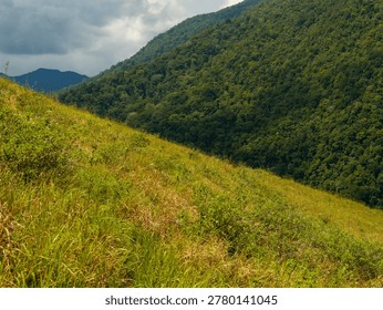constrasting with cloud shadows and dense distant forests