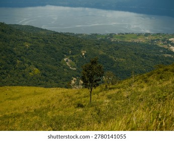 constrasting with cloud shadows and dense distant forests