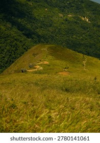 constrasting with cloud shadows and dense distant forests