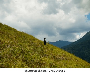 constrasting with cloud shadows and dense distant forests
