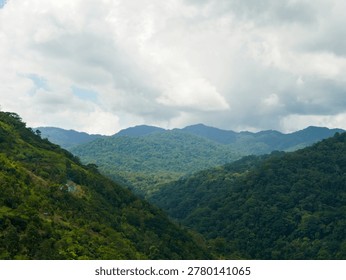 constrasting with cloud shadows and dense distant forests