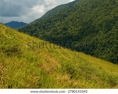 constrasting with cloud shadows and dense distant forests