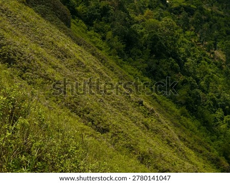 constrasting with cloud shadows and dense distant forests