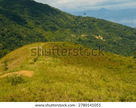 constrasting with cloud shadows and dense distant forests