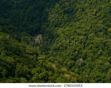constrasting with cloud shadows and dense distant forests