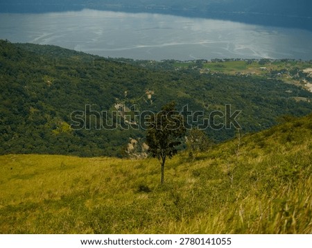 constrasting with cloud shadows and dense distant forests