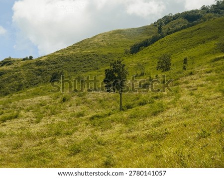 constrasting with cloud shadows and dense distant forests