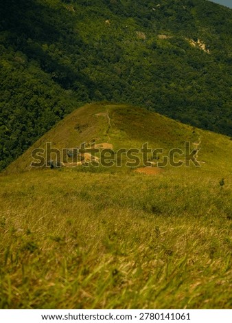 constrasting with cloud shadows and dense distant forests