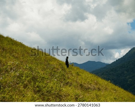 constrasting with cloud shadows and dense distant forests