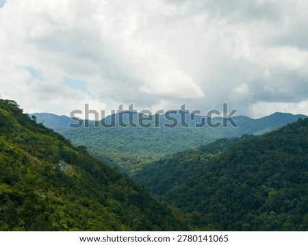 constrasting with cloud shadows and dense distant forests