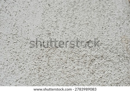 Construction, building, and renovation work in a private home. Whitewashing, house cladding, complete restoration of exterior walls, and leveling.