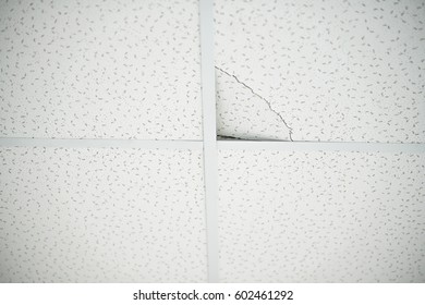 Ceiling Tile Installation Stock Photos Images Photography