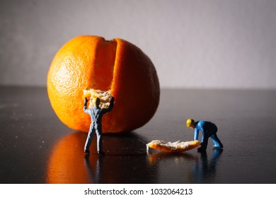 Construction Crew Peeling Orange