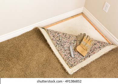 Construction Gloves and Utility Knife On Pulled Back Carpet and Pad In Room.