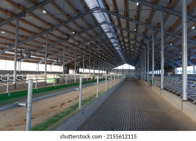 Construction of a large barn on the farm. Modern barn for dairy cows