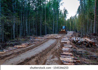 construction of roads in the forest