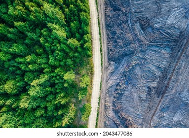 Construction Site Near Forest, Aerial Shot