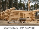 The construction site of a wooden house. Traditional log cabin built from wood logs on sunny summer day. Cottage house design