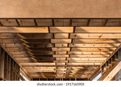 Construction Of A Sustainable Wooden Building, Roof And Walls Without Finishing With Planks.