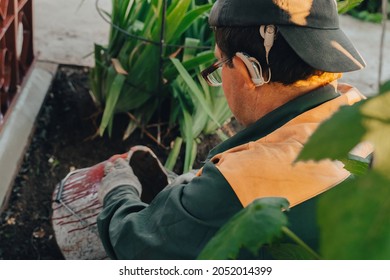 Construction Technicians With Hearing Aid Working With Cement Paving, Mix With Trowel At Side Work In Backyard. Cement Mortar Powder Put On Brick. Real Candid Farm Craftsman Worker Bricklaying.