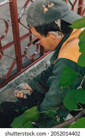 Construction Technicians With Hearing Aid Working With Cement Paving, Mix With Trowel At Side Work In Backyard. Cement Mortar Powder Put On Brick. Real Candid Farm Craftsman Worker Bricklaying.